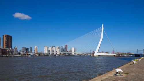 Rotterdam - Erasmusbrug
